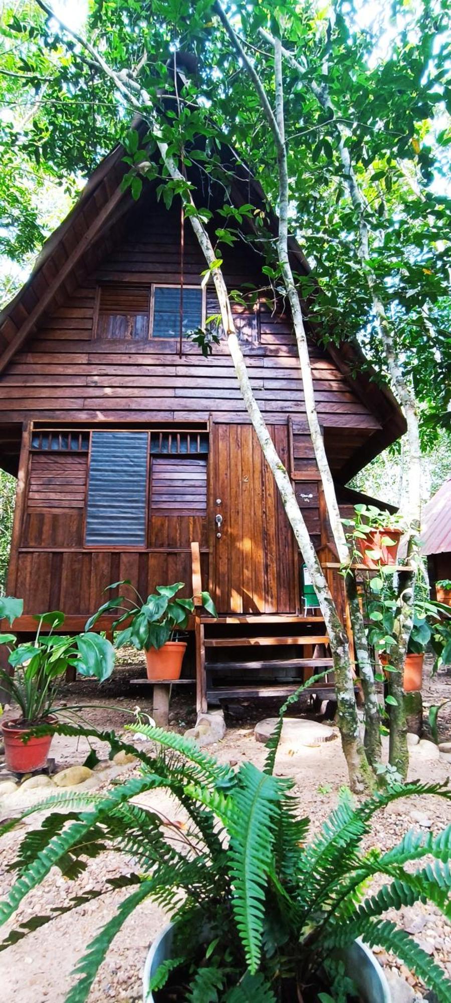 Hotel Ecologico Makalombia Ла-Макарена Экстерьер фото
